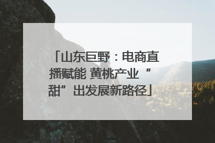 山东巨野：电商直播赋能 黄桃产业“甜”出发展新路径